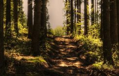 Durham Region Online - Venue - Ajax - Greenwood Conservation Area