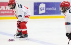 Durham Region Online - venue - oshawa - Delpark Homes Centre